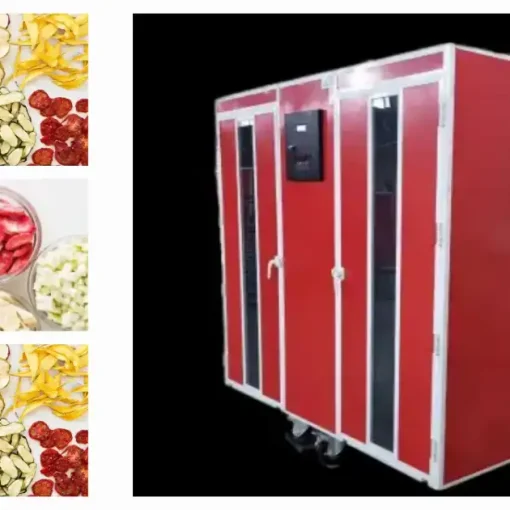 میوه خشک، 0 تا 100 خشک کردن میوه و تولید چیپس میوه