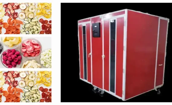 میوه خشک، 0 تا 100 خشک کردن میوه و تولید چیپس میوه