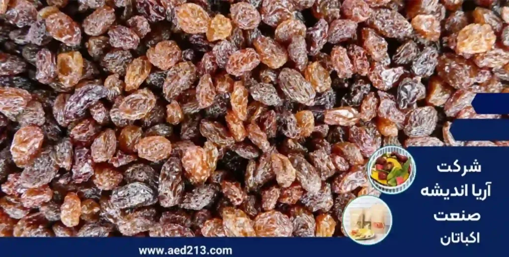 دستگاه خشک کن انگور و کشمش