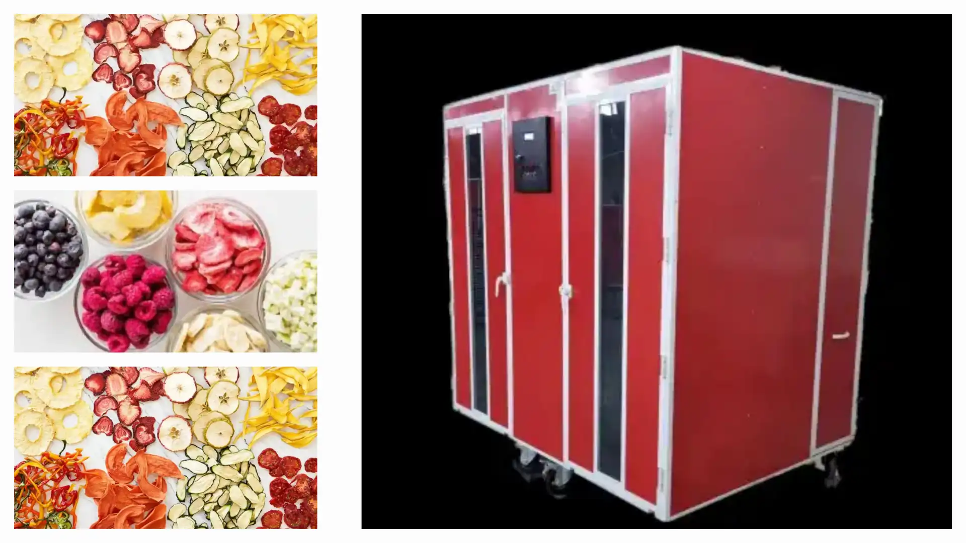 دستگاه میوه خشک کن | قیمت صنعتی و خانگی + راهنمای خرید