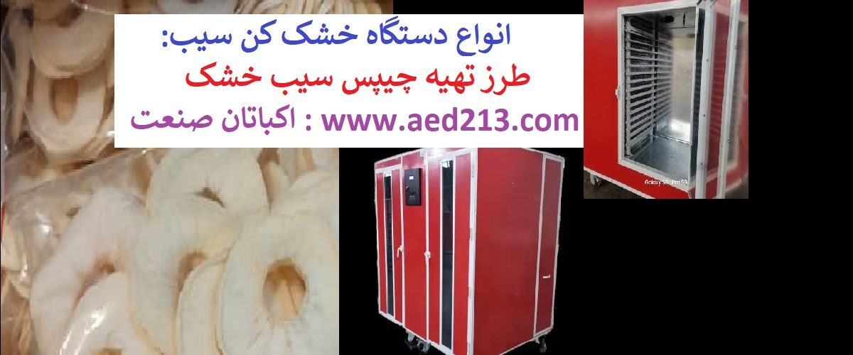 خشک کردن سیب : انواع دستگاه خشک کن سیب اکباتان صنعت. تهیه چیپس سیب در منزل