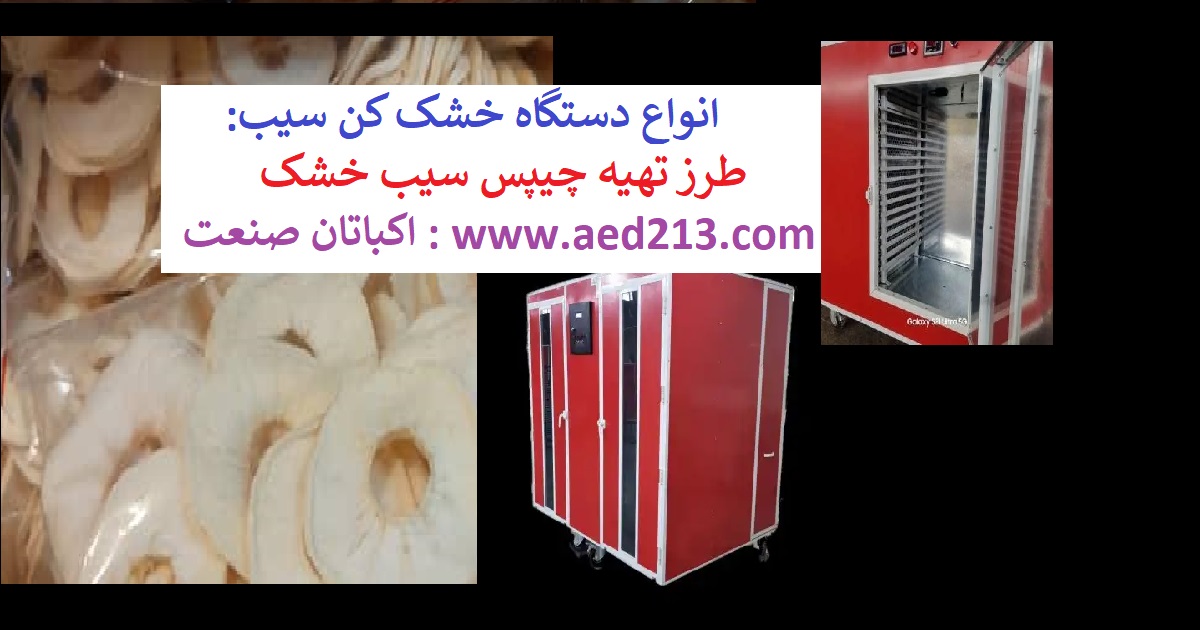 خشک کردن سیب : انواع دستگاه خشک کن سیب اکباتان صنعت. تهیه چیپس سیب در منزل
